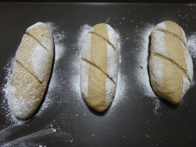 �ŵ�����â�����������