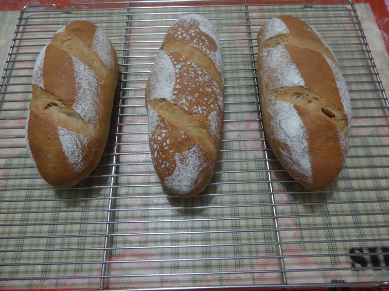 �ŵ�����â�����������