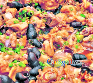 ɽ��������������