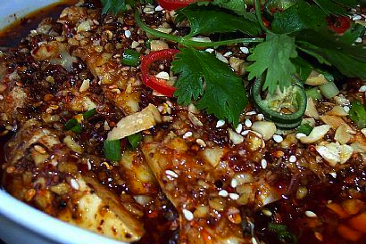 ɽ�ǰ�����������