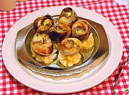 ��ʽ�׾����ݵ�����