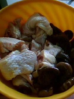 �㹽��������