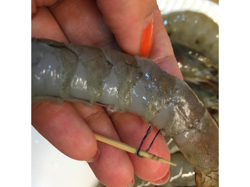 �����˼ҵı��㺣���������