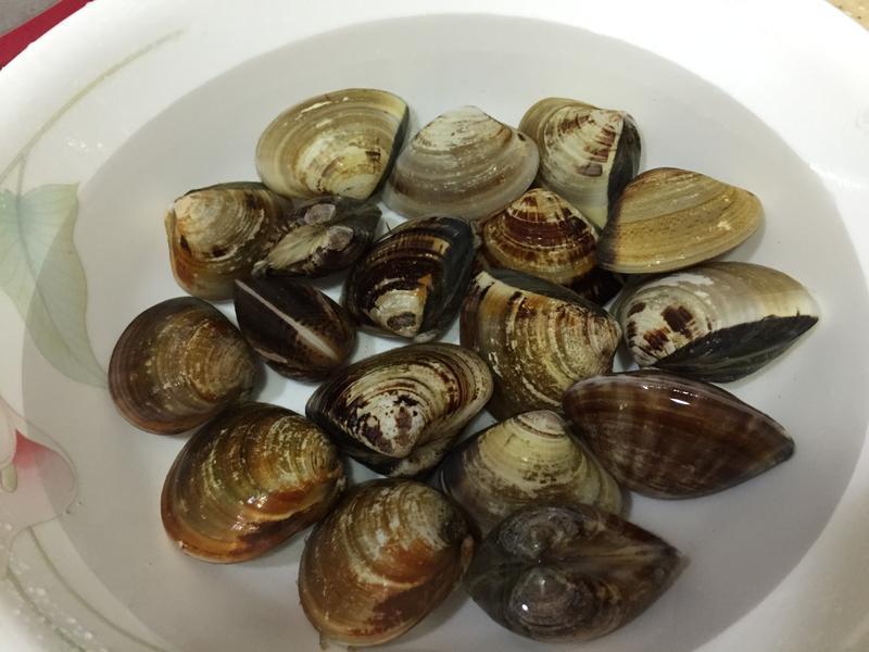 �����˼ҵı��㺣���������