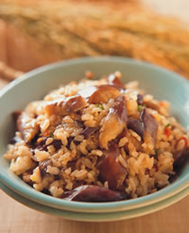 ���ӷ�������