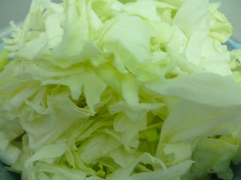 ����������˵�����