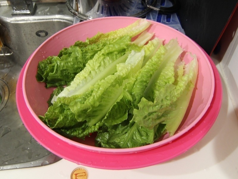 ���������ȹ����������