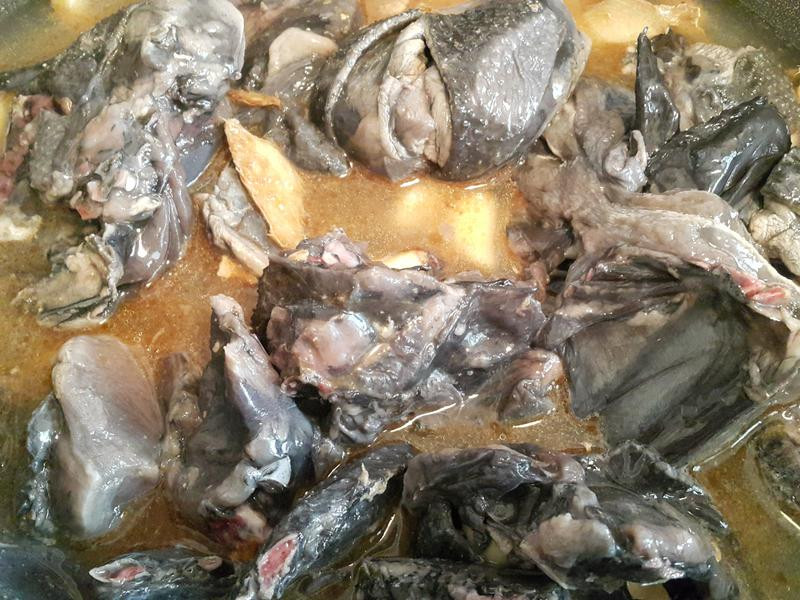 ��������ڹǼ���������