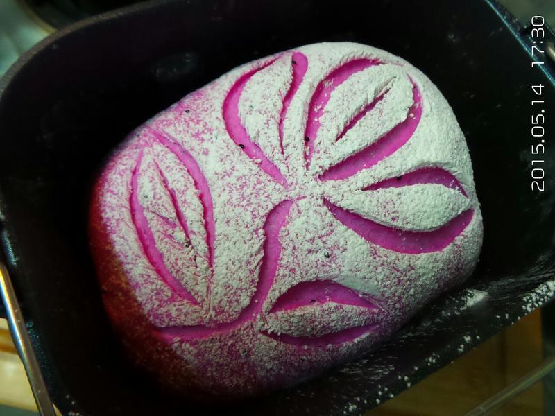 ?������������˾?_���º決��������