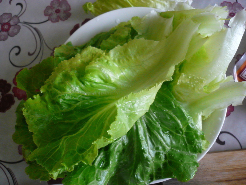 ������ʳ�߹�ɳ�������ͻ��ȵ�����