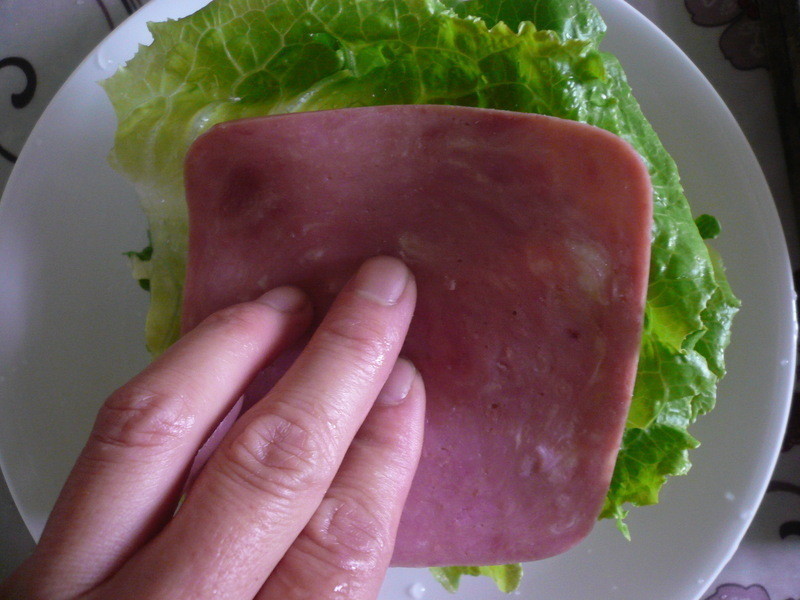 ������ʳ�߹�ɳ�������ͻ��ȵ�����