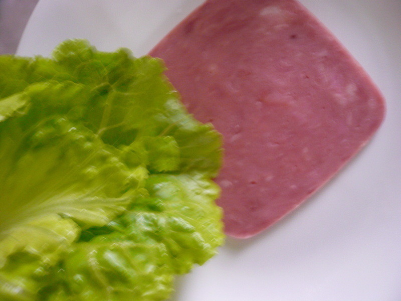 ������ʳ�߹�ɳ�������ͻ��ȵ�����