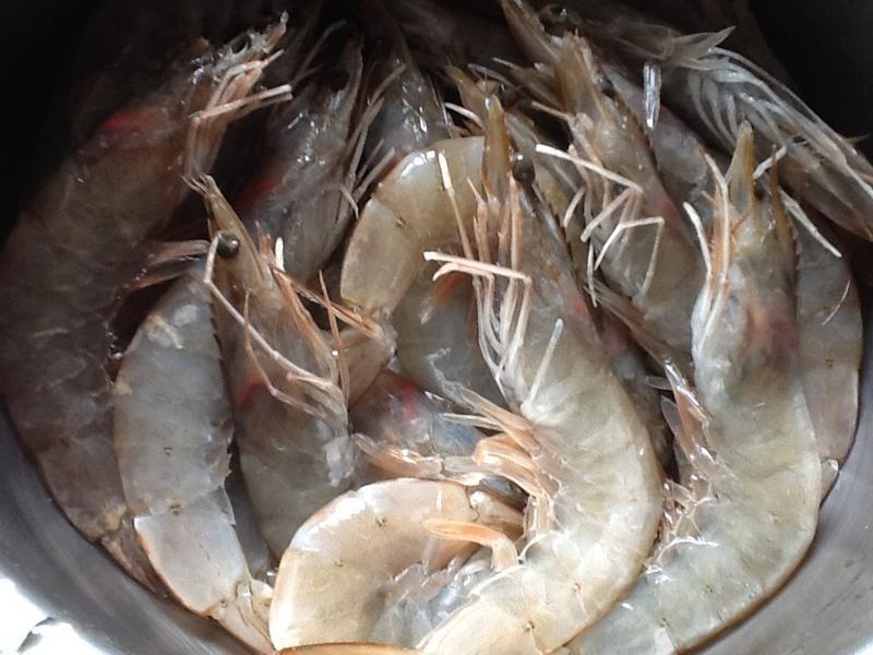 ��Ϻɳ���˿�ҵ�����