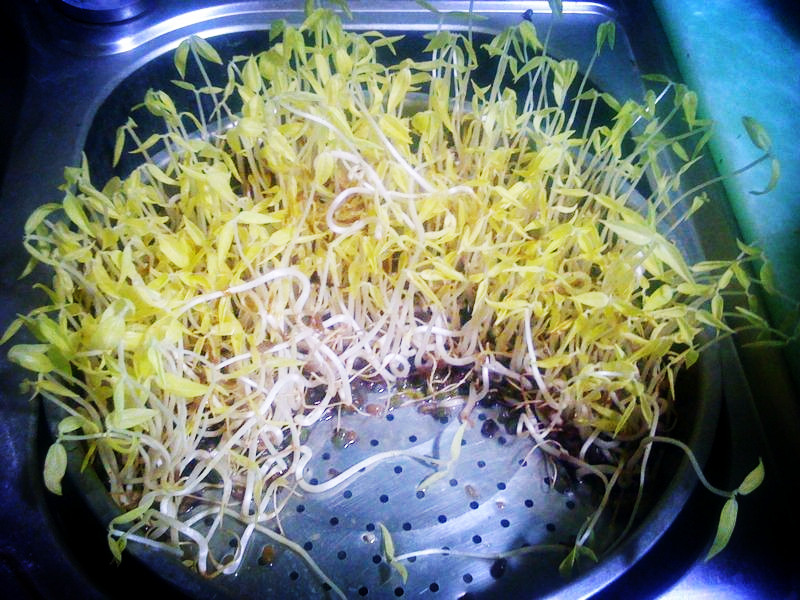 �Է��̶�ѿ������