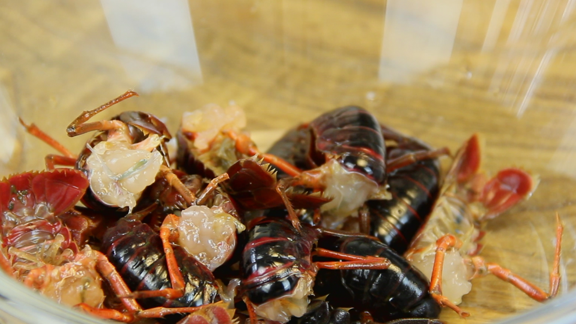 С��Ϻ�ǽ���������