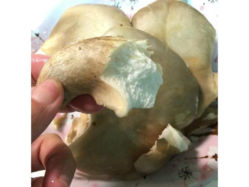 ��Ƥ�������㹽����������