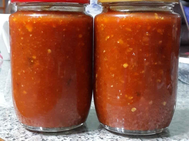 XO������������