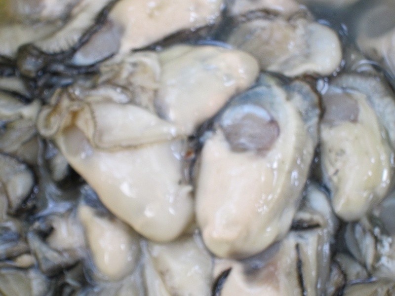 �������۽�������