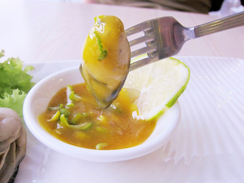 �������۽�������