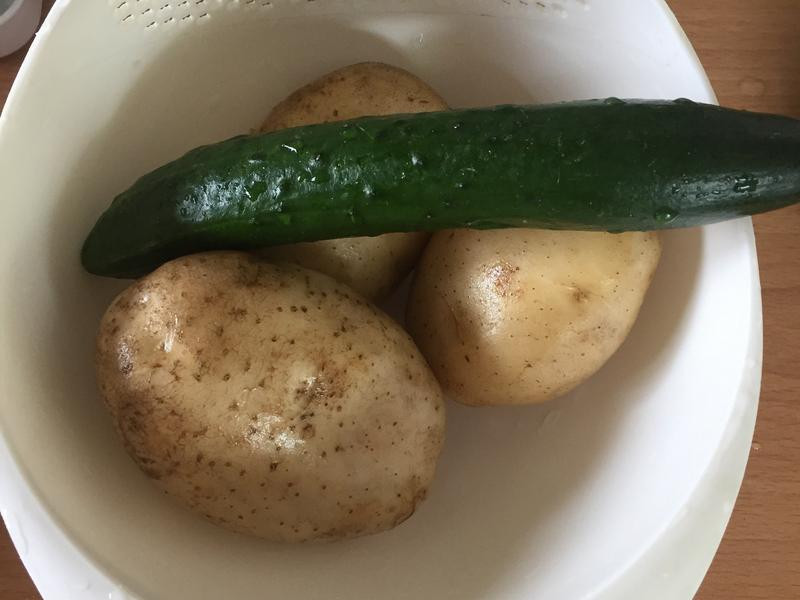 ����������С�ƹϵ�����