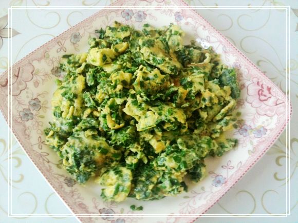 �²˳����� ��������