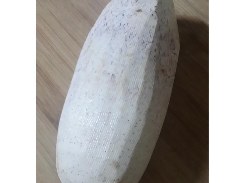 ��֭�������Źǵ�����