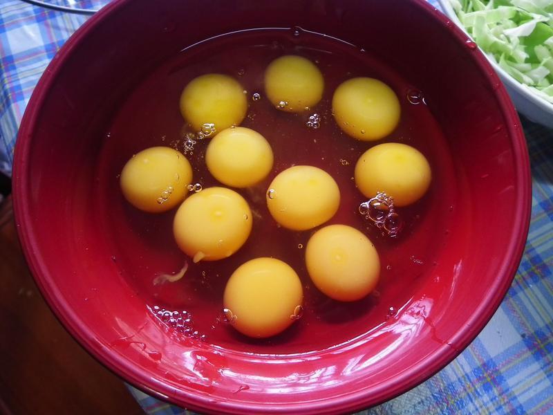 ��������˿�׹���������ţͷ�ƿ�����ʳ����������