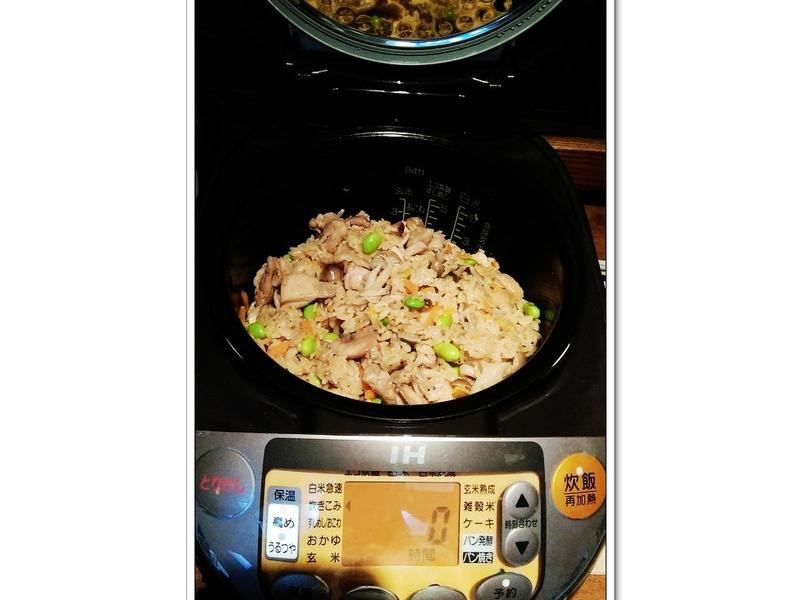 ��ʽ����Ұ������������