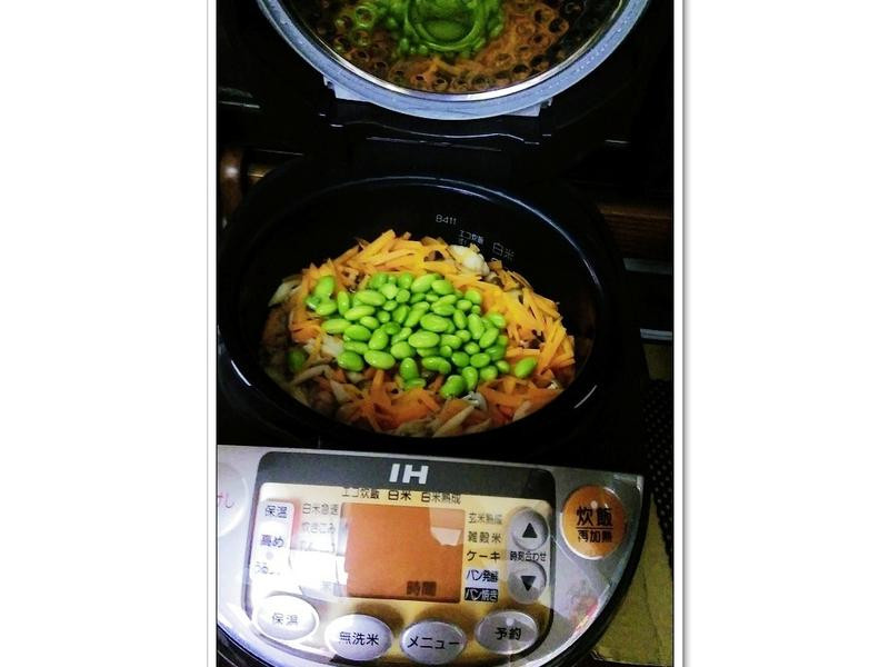 ��ʽ����Ұ������������