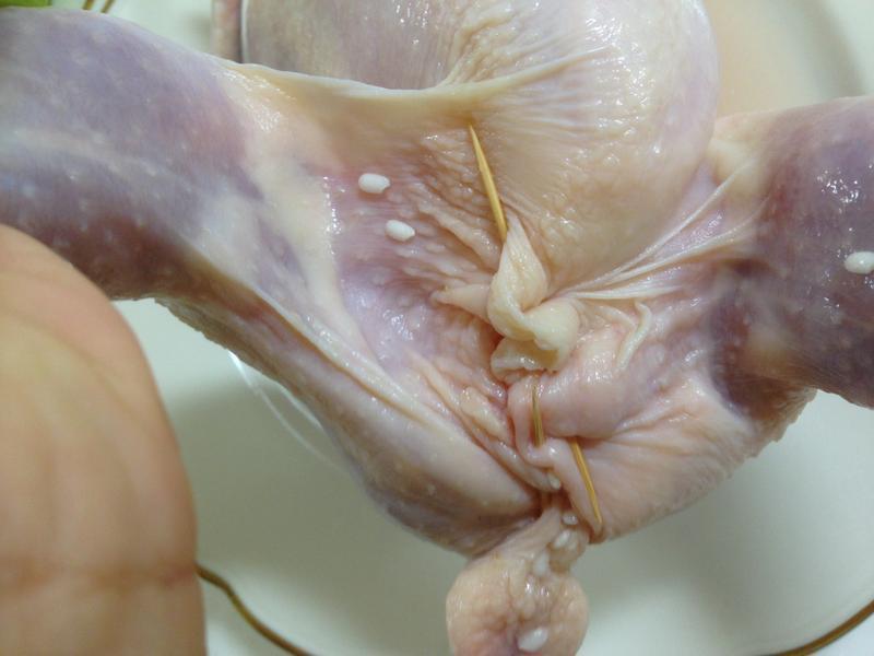 ���ں�ʽ�μ���(???)������