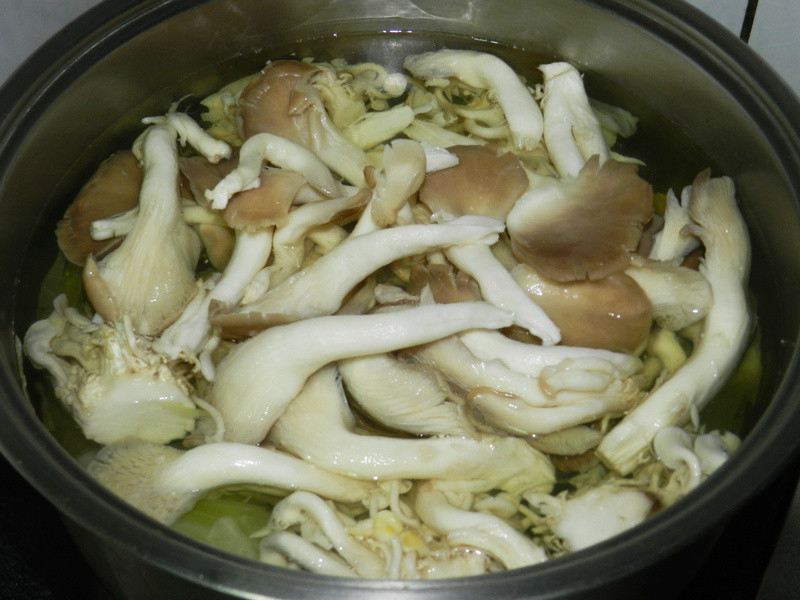 ����������������