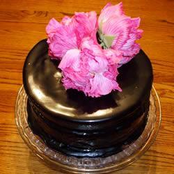 �ɿ�������Ĩ��������