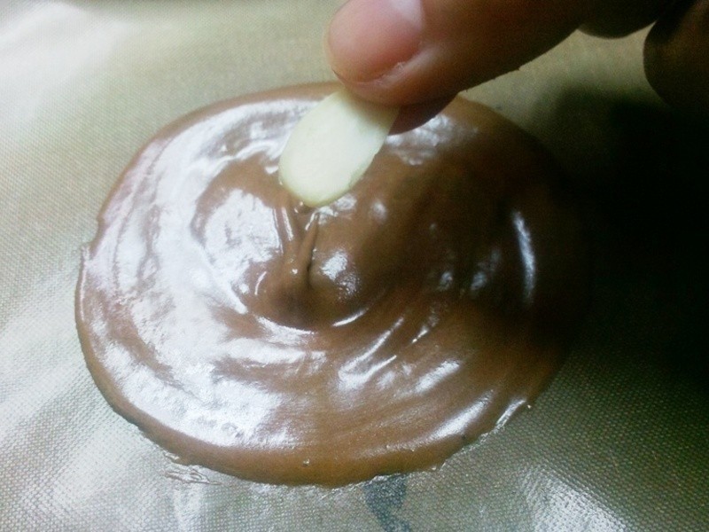 �ɿ������ʴ�Ƭ������