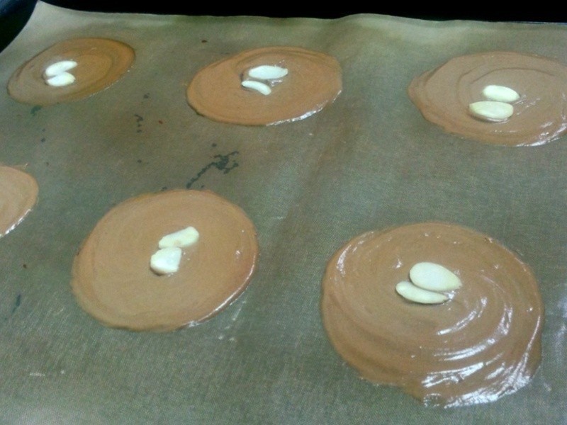 �ɿ������ʴ�Ƭ������