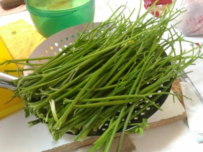 �۲˽��ӵ�����