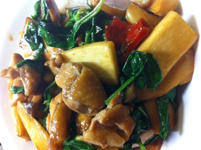 �����ӱ���������������