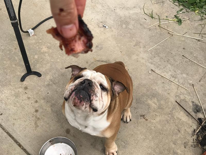 BBQ �Źǵ�����