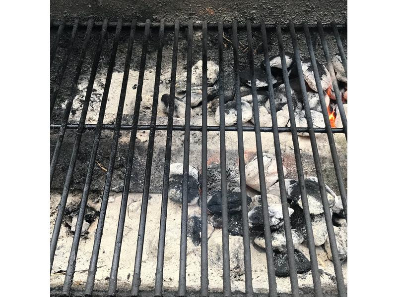 BBQ �Źǵ�����