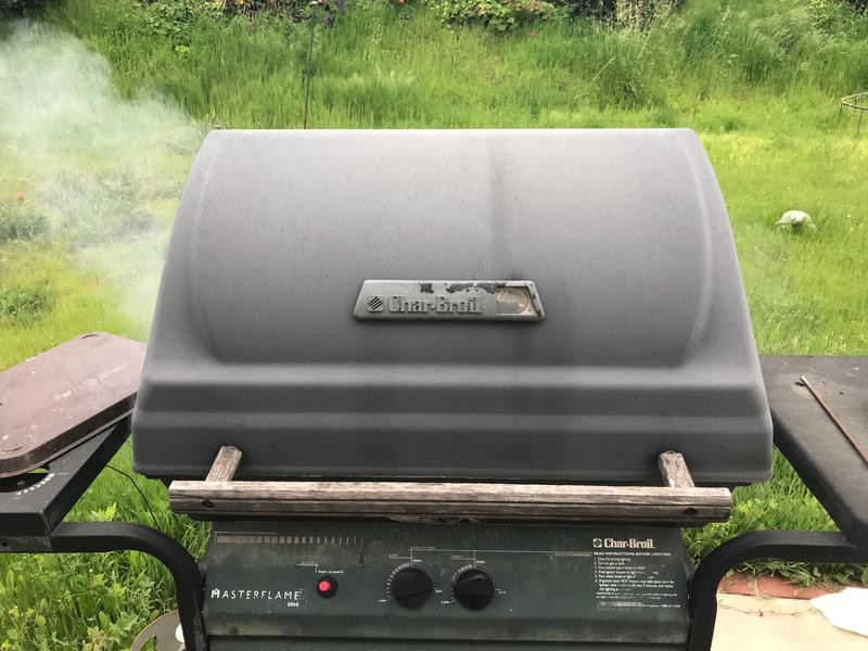 BBQ �Źǵ�����