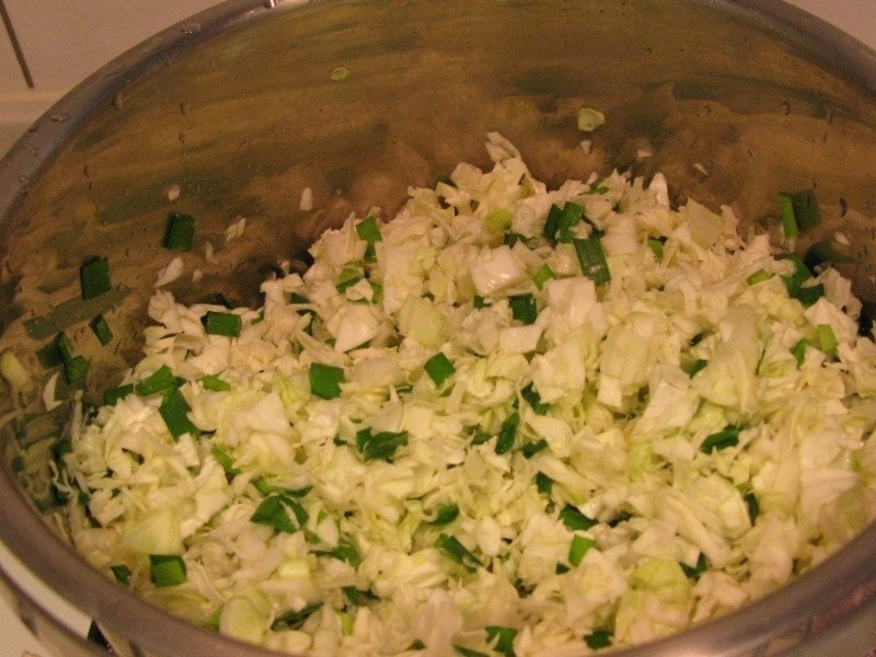 ��������˹���������