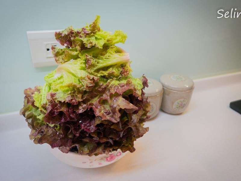 �̠`ǰ�����컨Ҷ���˵�����