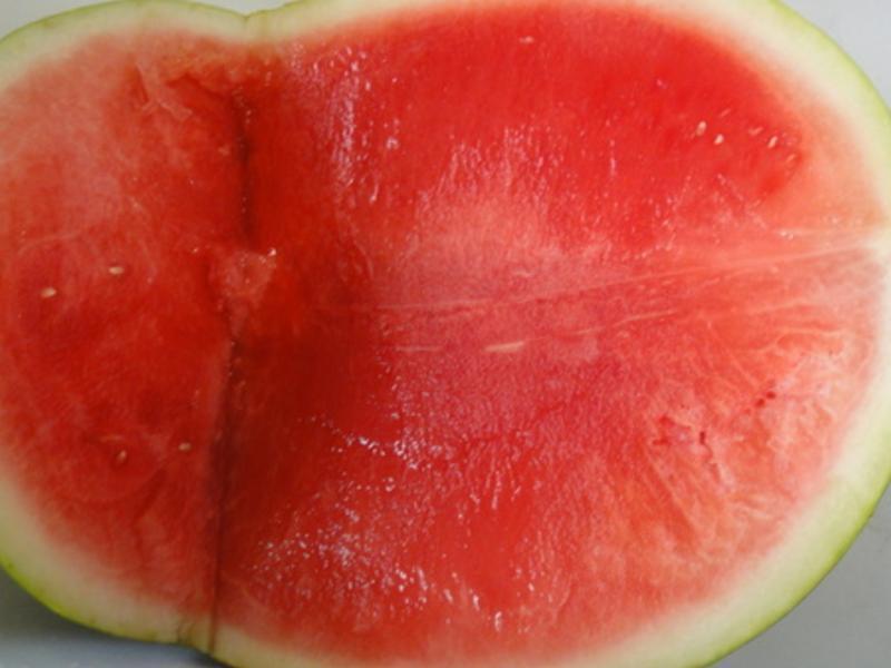 Ӥ��ˮ�������Ƴ�������