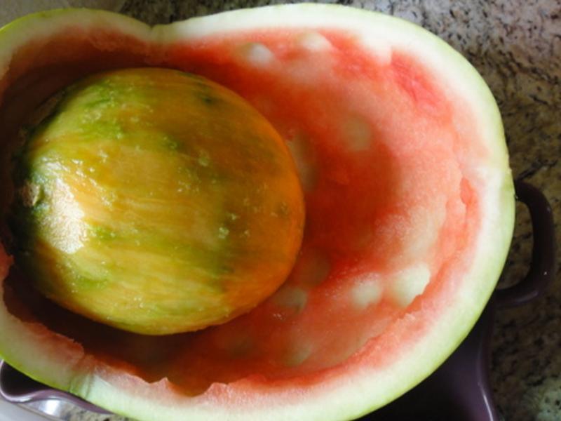 Ӥ��ˮ�������Ƴ�������