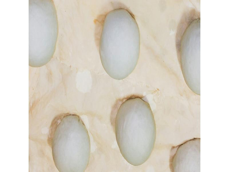 ��������֥���������