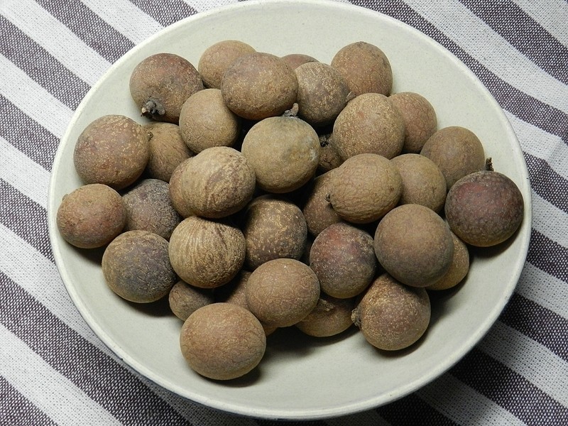 �������ǻ����ù�~���ǹ�Բ�������