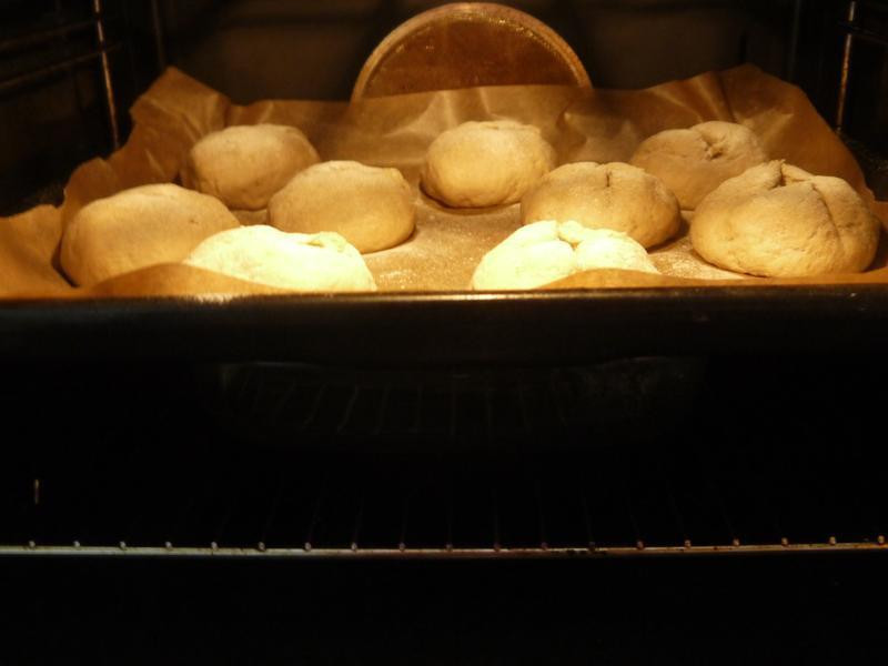 �������Ÿ����������