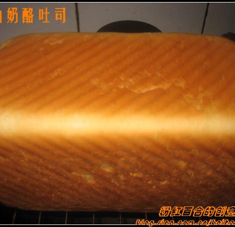 ŨŨ������--����������˾������