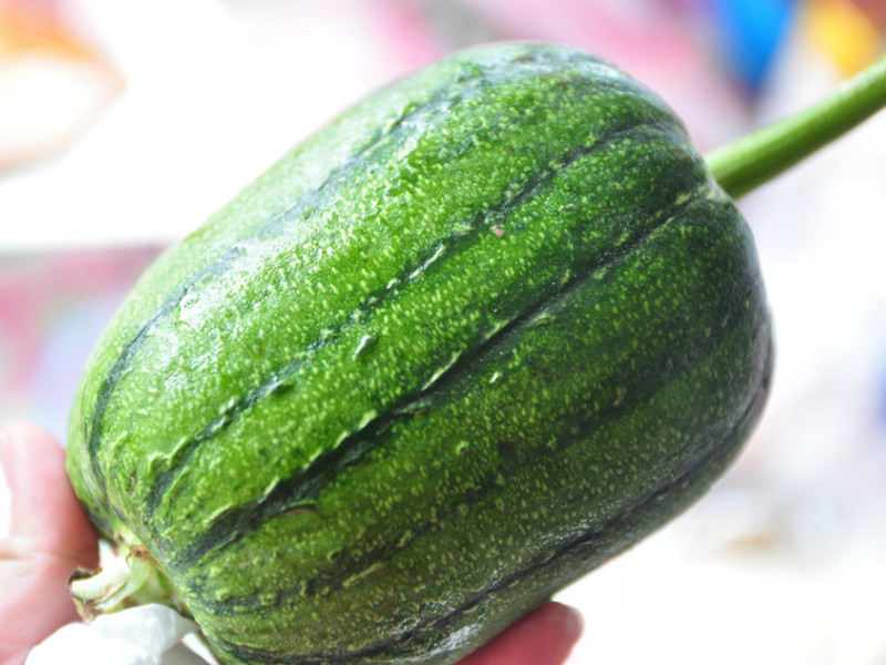 ����ɽҩ˿������