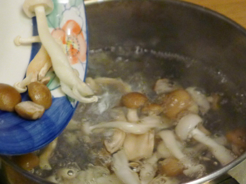 ��ʽ����ī�㹽��������