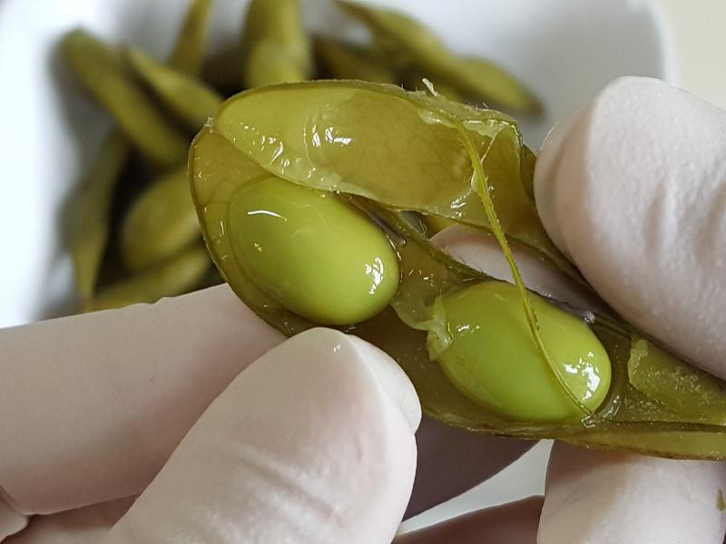 ���˸�ë������������